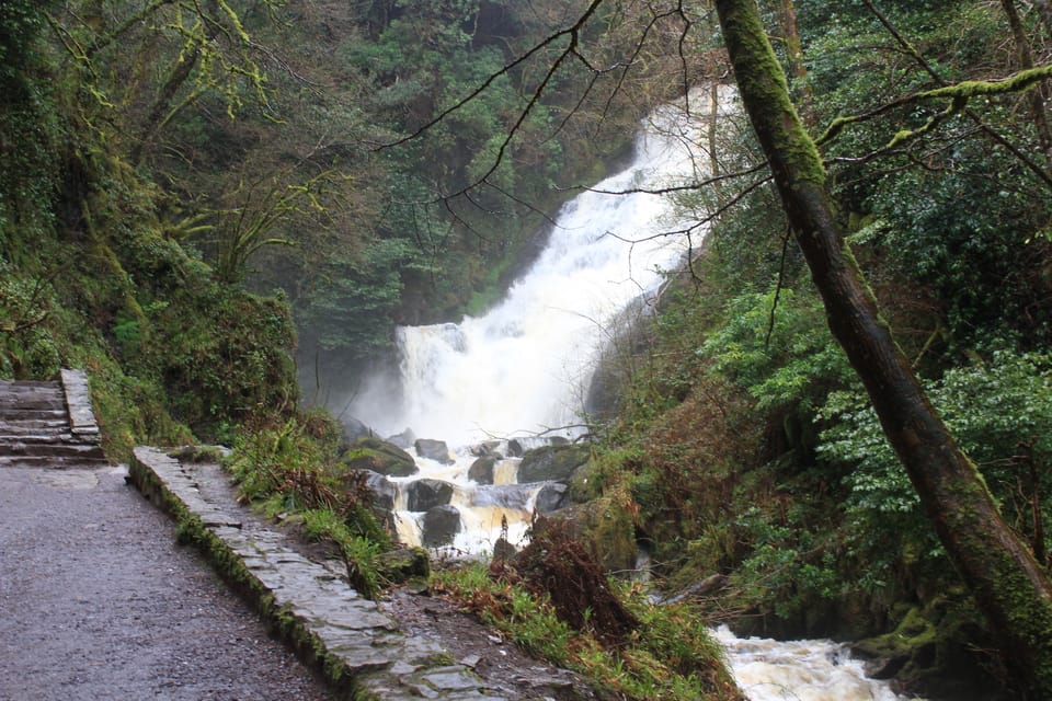 Private Wild Atlantic Day Tour from Cork - Costs, timing, and who gets the best deal