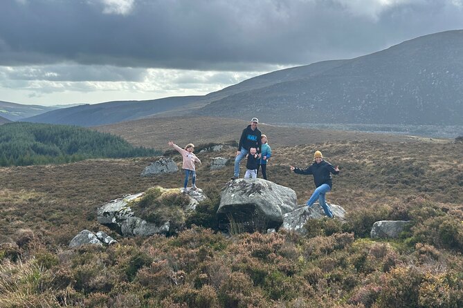 Sheepdogs in the countryside, authentic Dubliners city tour combo - The Gravediggers offers old Dublin atmosphere