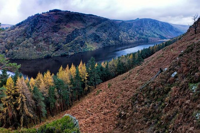 (Small Group) Shore Tour from Dublin:Dublin Highlights and Glendalough Day Trip - Dublin’s landmarks from the minivan