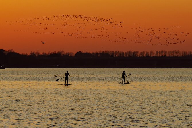 Sunset SUP experience in Malahide, Dublin - Key points about the Malahide sunset paddle