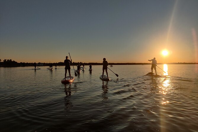Sunset SUP experience in Malahide, Dublin - Falling off and getting back on