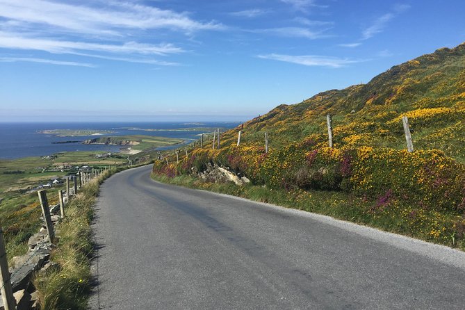 Sustainable Connemara and Galway Bay Rail Tour from Dublin - The evening train back to Dublin