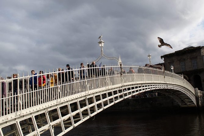 The Dublin Private Walking Tour - Georgian Dublin and Ireland’s government