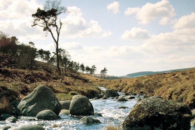The Original Award Winning Wild Wicklow Tour incl. Glendalough - Sally Gap and Lough Tay, the mountain highlights
