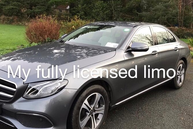 Tour Wicklow Mountains National Park in a limo with private guide - Glendalough, ruins beside two mountain lakes