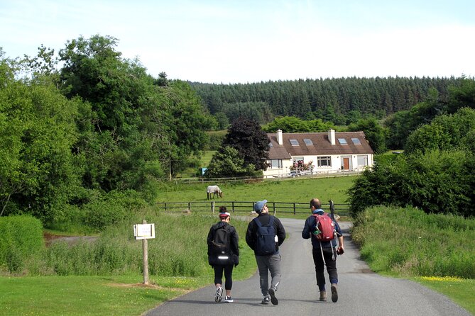 Trek the Tombs and Trails in the Dublin Mountains - Wild berries, ridge walking, and changing views