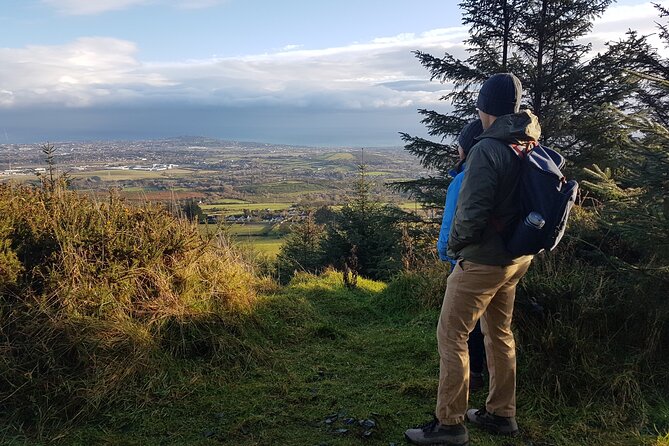 Trek the Tombs and Trails in the Dublin Mountains - The second tomb at Tibradden