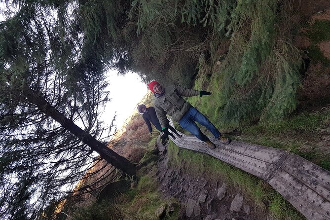 Trek the Tombs and Trails in the Dublin Mountains - Through the evergreen forest to The Hazel House