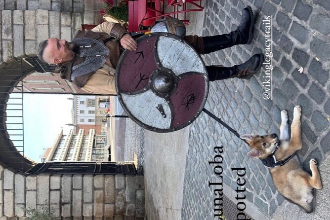 Walking Tour of Dublin’s Viking/Medieval Quarter with a Viking - The memorable Luna stop