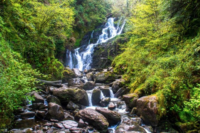 Wicklow Mountains & Glendalough Luxury Private Day Tour - Returning by the Military Road and the Feather Beds