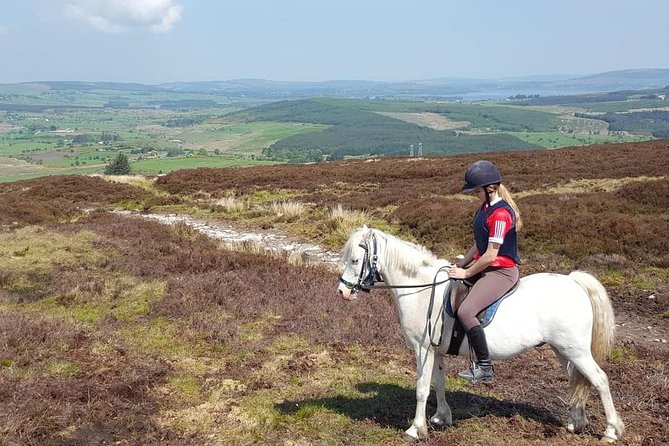 Wicklow Mountains Horse Trekking - Ray, Lisa, Nicole, and Jack