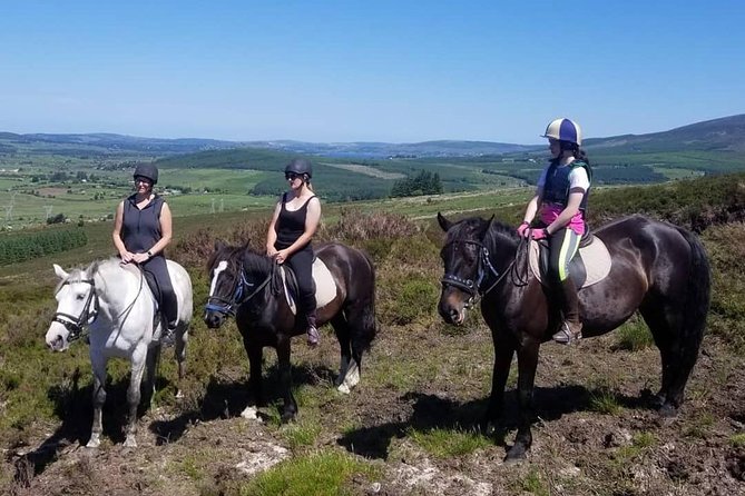 Wicklow Mountains Horse Trekking - Why the horses matter