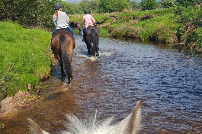 Wicklow Mountains Horse Trekking - Fitting the ride into a Wicklow day