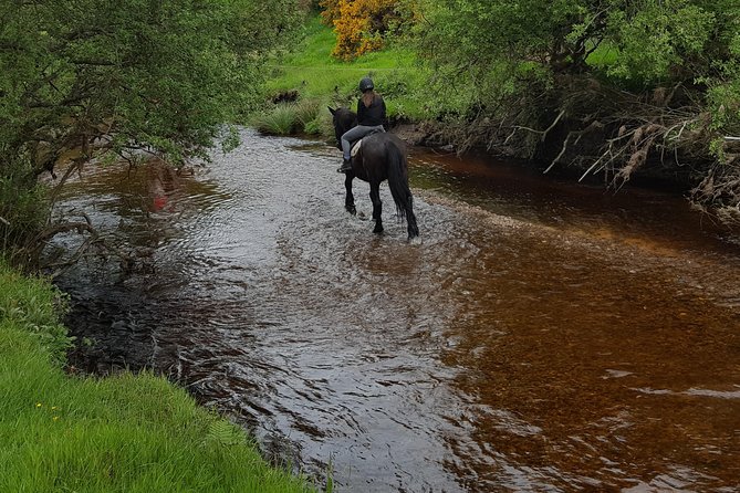 Wicklow Mountains Horse Trekking - What happens before you mount