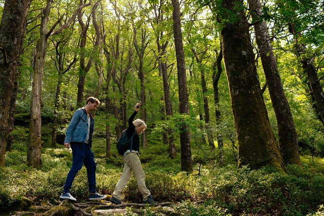 Wicklow Mountains Private Day Trip from Dublin - Powerscourt Waterfall and the €6 decision