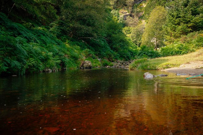 Wicklow Mountains Private Day Trip from Dublin - Is $52 good value for a private Wicklow day?