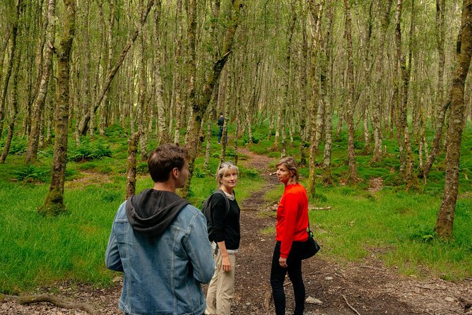 Wicklow Mountains Private Day Trip from Dublin - Who should book this Wicklow day trip?