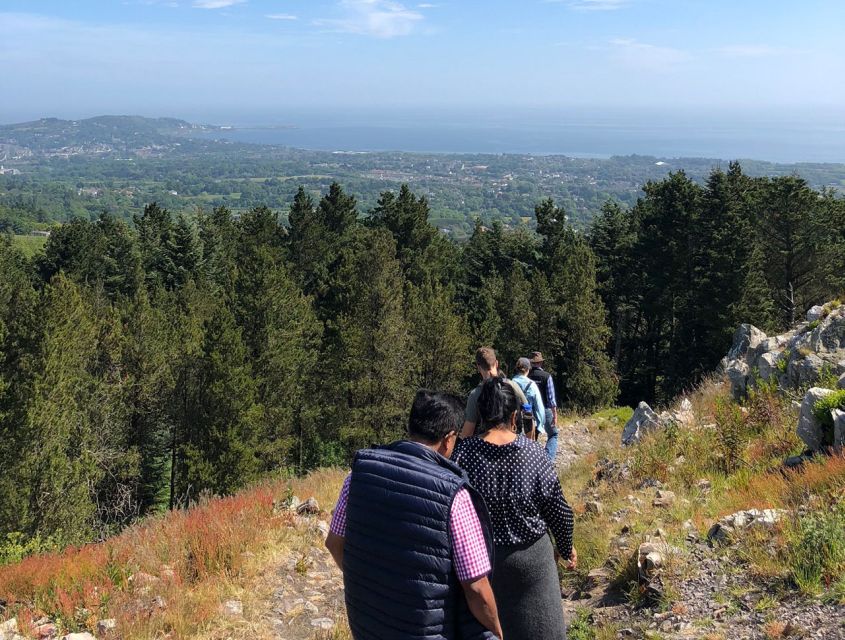 Wicklow: Private Day Tour from Dublin - How the $658 group price works
